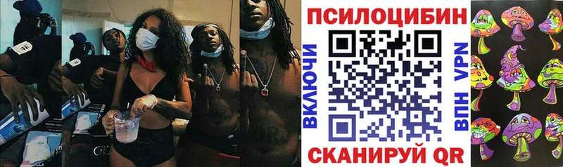 Купить  Мценск  Галлюциногенные грибы GOLDEN TEACHER 